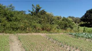 Sítio à venda, 35000 m² por R$ 180.000,00 - Zona Rural - Lagoa Seca/PB