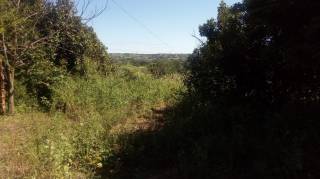 Sítio à venda, 35000 m² por R$ 180.000,00 - Zona Rural - Lagoa Seca/PB