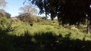 Sítio à venda, 35000 m² por R$ 180.000,00 - Zona Rural - Lagoa Seca/PB