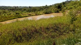 Sítio à venda, 35000 m² por R$ 180.000,00 - Zona Rural - Lagoa Seca/PB