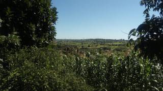 Sítio à venda, 35000 m² por R$ 180.000,00 - Zona Rural - Lagoa Seca/PB