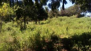 Sítio à venda, 35000 m² por R$ 180.000,00 - Zona Rural - Lagoa Seca/PB