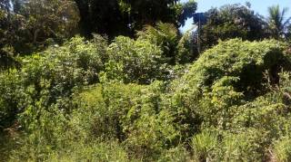Sítio à venda, 35000 m² por R$ 180.000,00 - Zona Rural - Lagoa Seca/PB