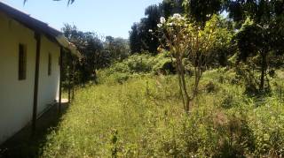 Sítio à venda, 35000 m² por R$ 180.000,00 - Zona Rural - Lagoa Seca/PB