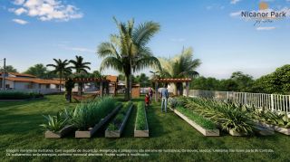 NICANOR PARK PRIME