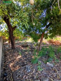 Lote / Terreno de Bairro Para Vender - Timon
