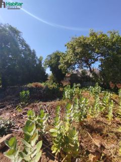 Lote / Terreno de Bairro Para Vender-Timon