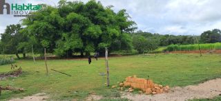 FAZENDA VITÓRIA A VENDA (estrada de José de Freitas)