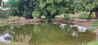 FAZENDA VITÓRIA A VENDA (estrada de José de Freitas)