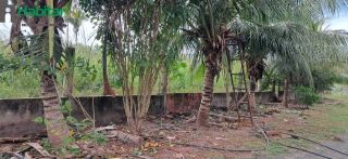 FAZENDA VITÓRIA A VENDA (estrada de José de Freitas)