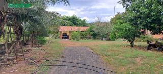 FAZENDA VITÓRIA A VENDA (estrada de José de Freitas)