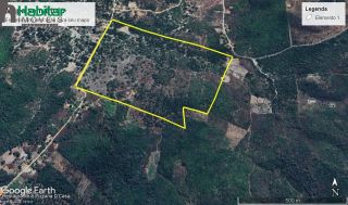 Fazenda Para Vender - Pau D`arco Do Piauí