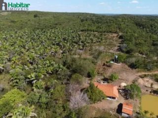Fazenda Para Vender - Pau D`arco Do Piauí