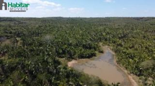 Fazenda Para Vender - Pau D`arco Do Piauí