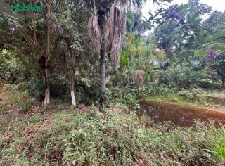Lote / Terreno  Para Vender - Caxias
