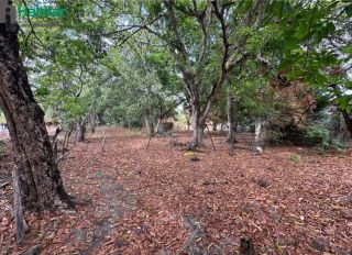 Lote / Terreno  Para Vender - Caxias