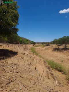 Fazenda Cachoeira  À Venda - Coronel José Dias