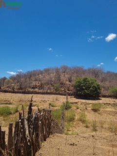 Fazenda Cachoeira  À Venda - Coronel José Dias