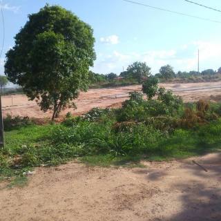 Dois Lotes De Terreno à Venda no Pedro Patrício / Timon
