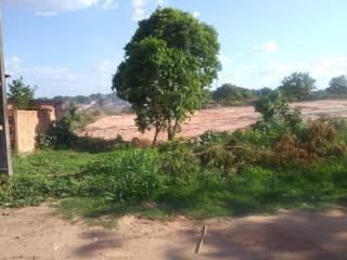 Dois Lotes De Terreno à Venda no Pedro Patrício / Timon