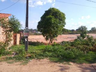 Dois Lotes De Terreno à Venda no Pedro Patrício / Timon