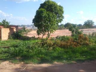 Dois Lotes De Terreno à Venda no Pedro Patrício / Timon