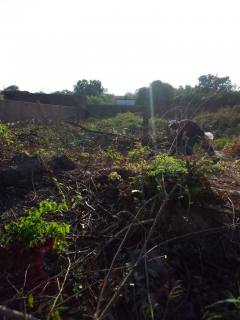 Lote De Terreno à Venda no Green Park