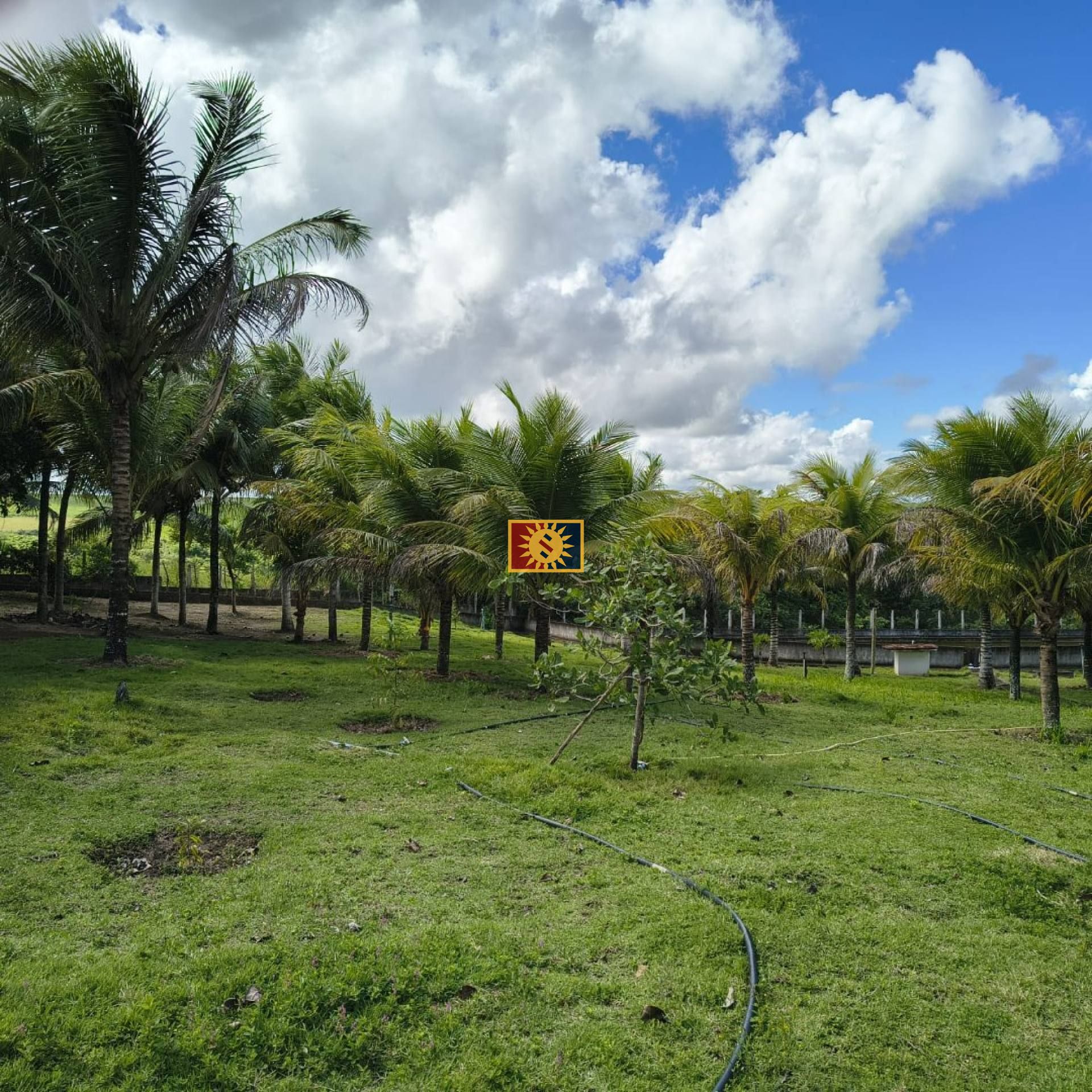 Fazenda Para Vender em Sapé