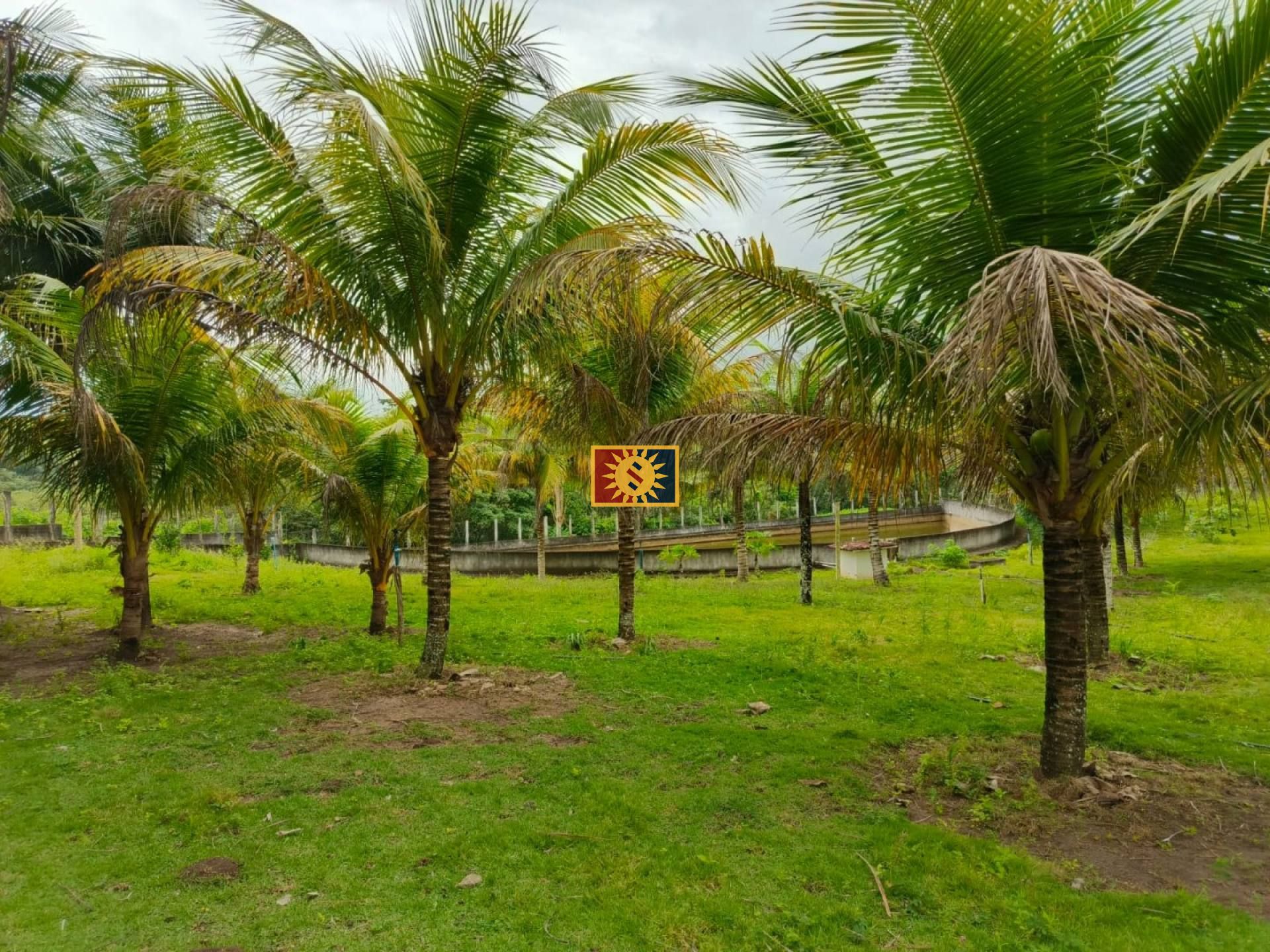 Fazenda Para Vender em Sapé
