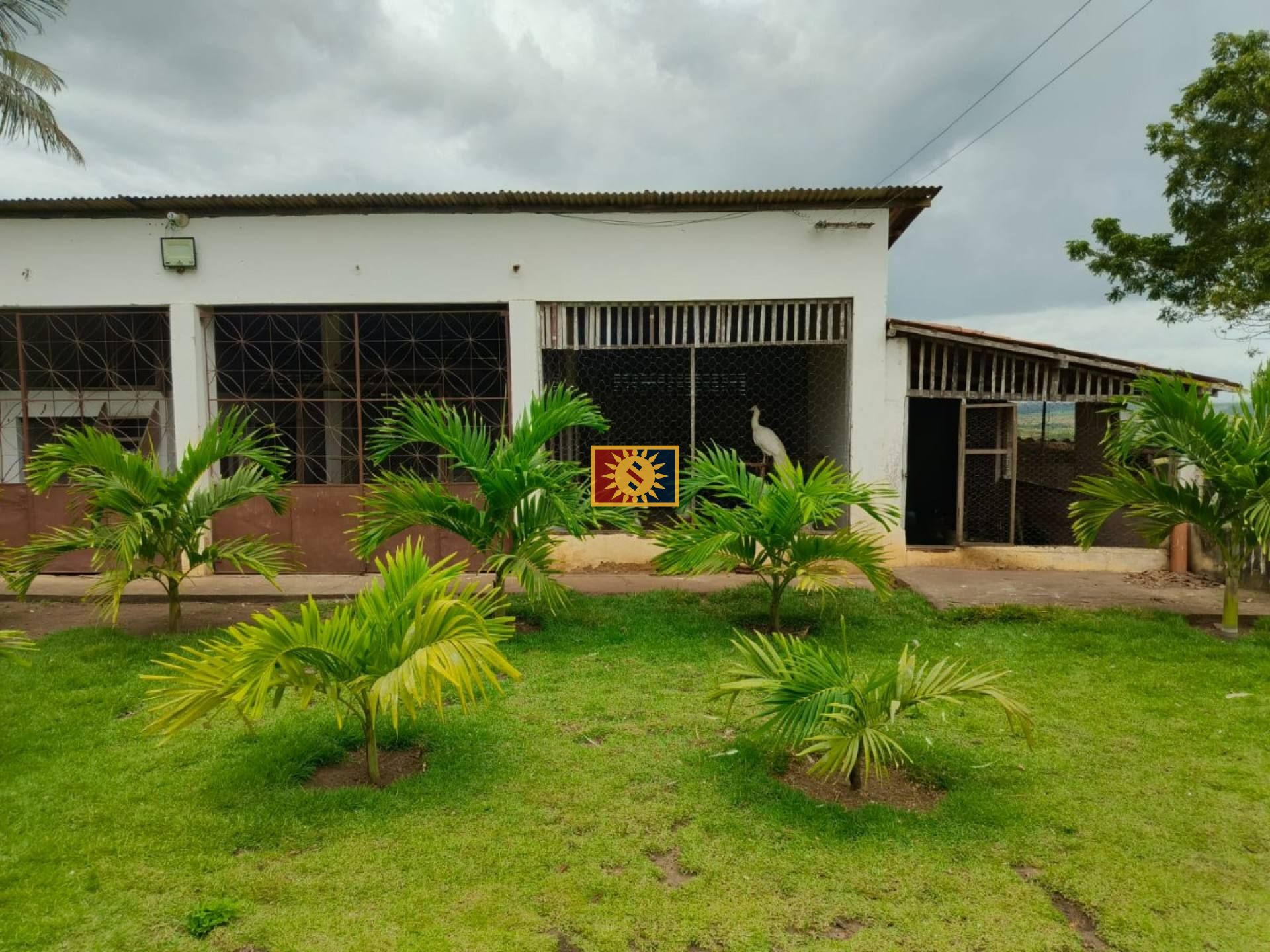 Fazenda Para Vender em Sapé