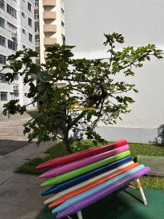 Apto reformado, andar alto, elevador e piscina!