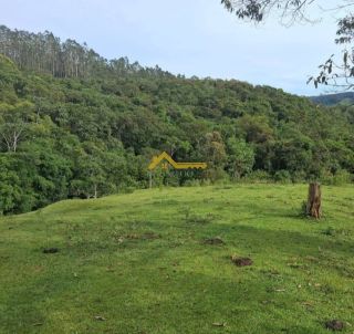 Sítio em São Pedro De Alcântara
