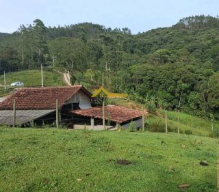 Sítio em São Pedro De Alcântara