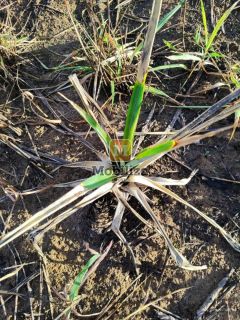 Terreno em condomínio fechado próximo ao parque natural com 1.225m²