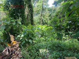 Lote / Terreno de Bairro Para Vender no bairro Santa Inês em Caieiras 