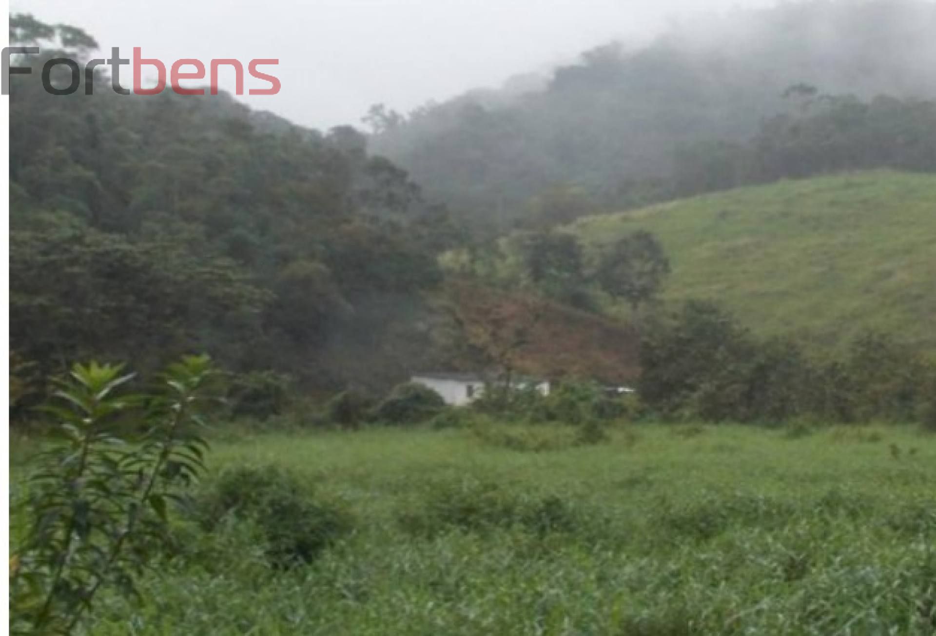 Sítio Para Vender com 2 quartos no bairro Jardim Santa Maria em Juquiá
