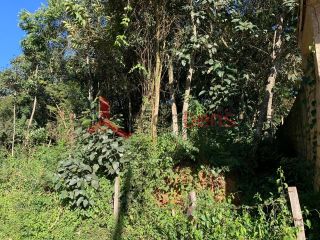 Lotes em Bairro Para Vender Chácaras Bom Tempo em Franco Da Rocha