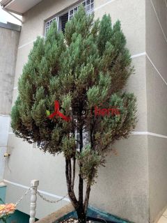 Sobrado Para Vender com 4 quartos 2 suítes no bairro Serpa em Caieiras