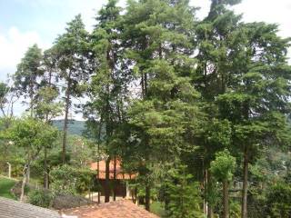 Chácara com 3 dormitórios à venda, 2345 m² por R$ 850.000,00 - Mato Dentro - Mairiporã/SP