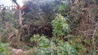 Lote / Terreno de Bairro Para Vender no bairro Glebas em Franco Da Rocha