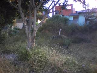 Terreno à venda, 142 m² por R$ 180.000,00 - Jardim Progresso - Franco da Rocha/SP