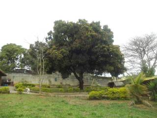 Chácara residencial à venda, Morro Grande, Caieiras.