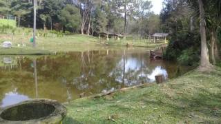 Chácara com 3 dormitórios à venda, 11200 m² - Chácaras Maristela - Franco da Rocha/SP