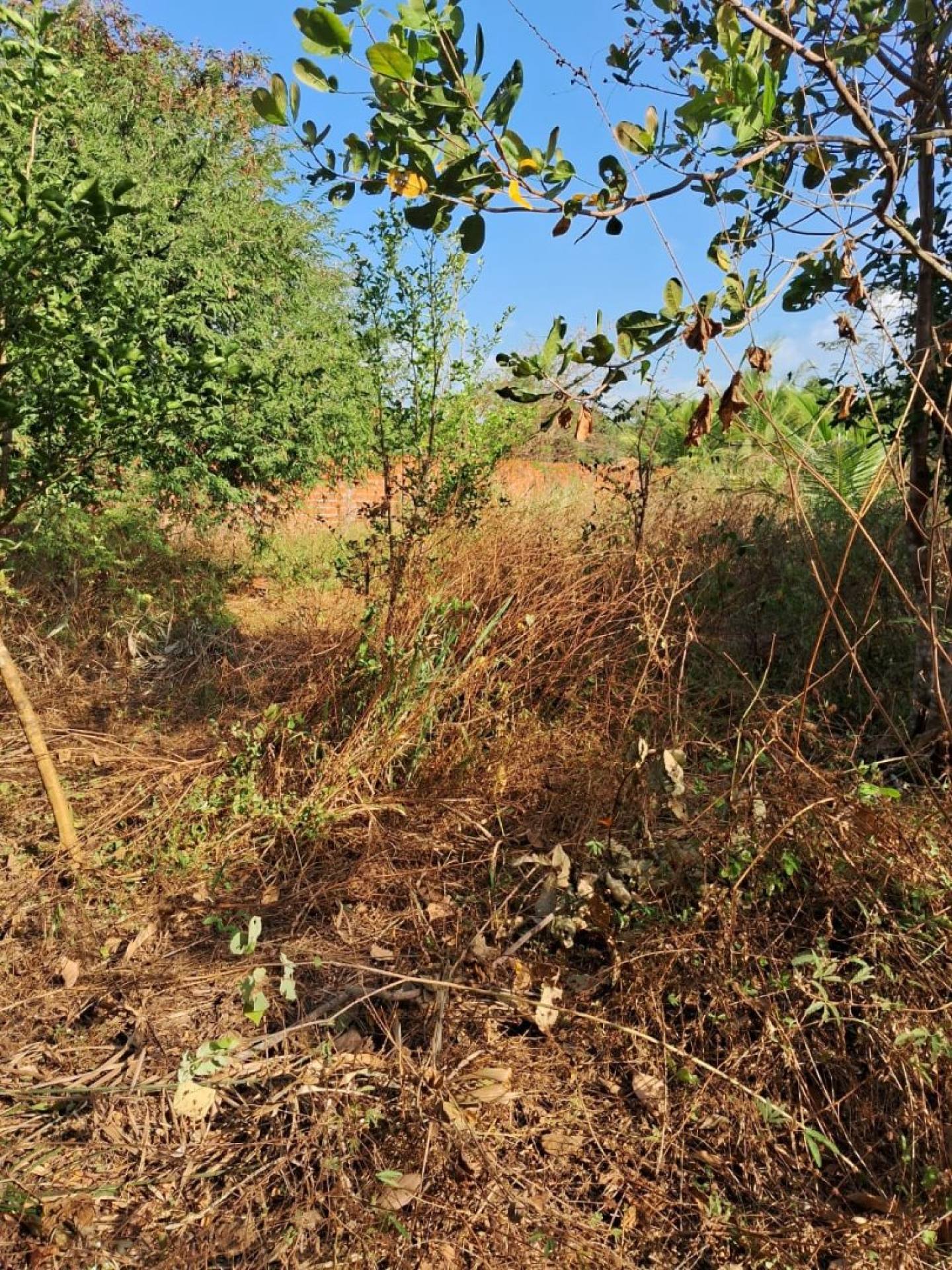 100 Excelente Terreno com uma área de 4.525 m²