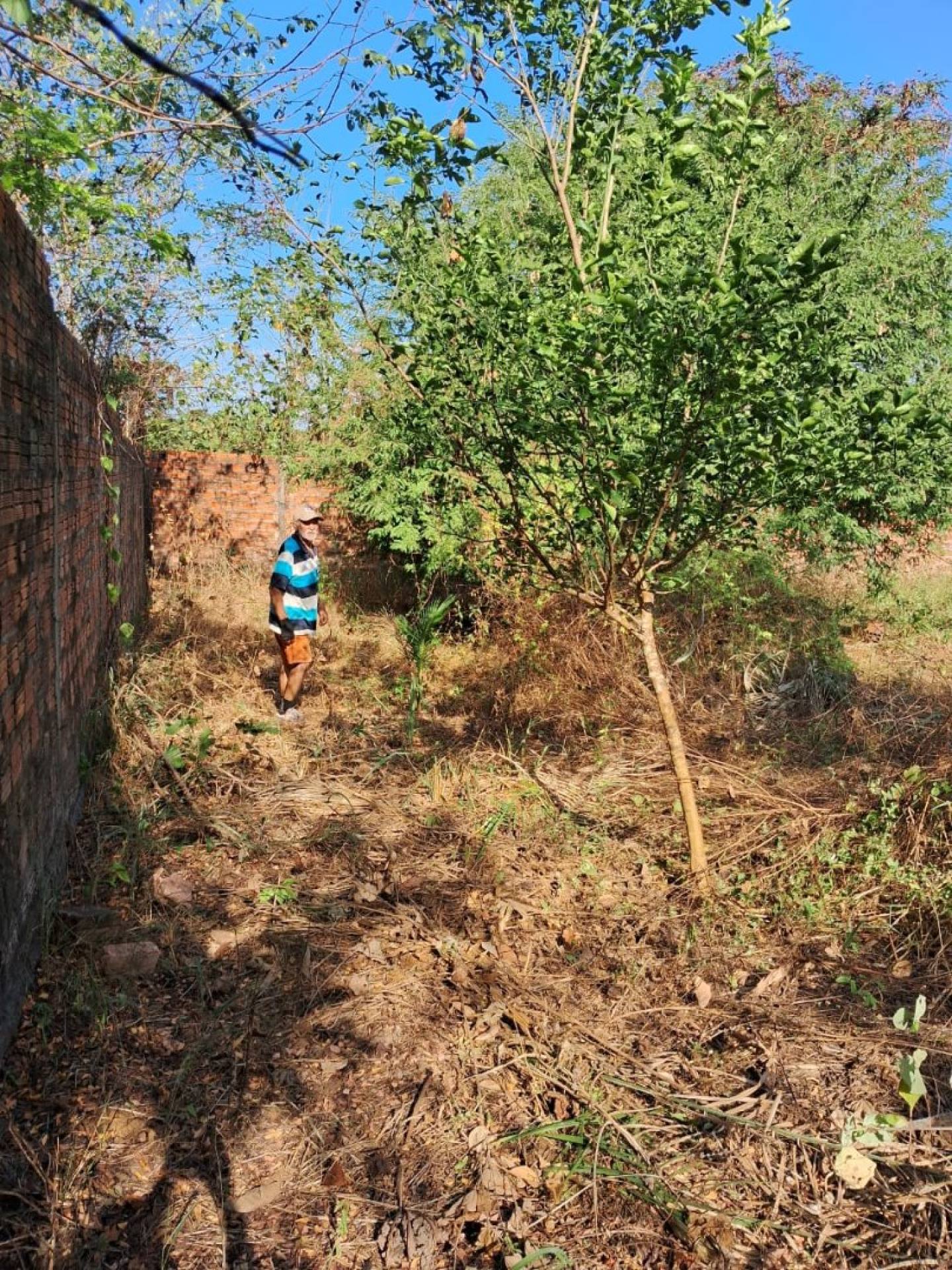 100 Excelente Terreno com uma área de 4.525 m²