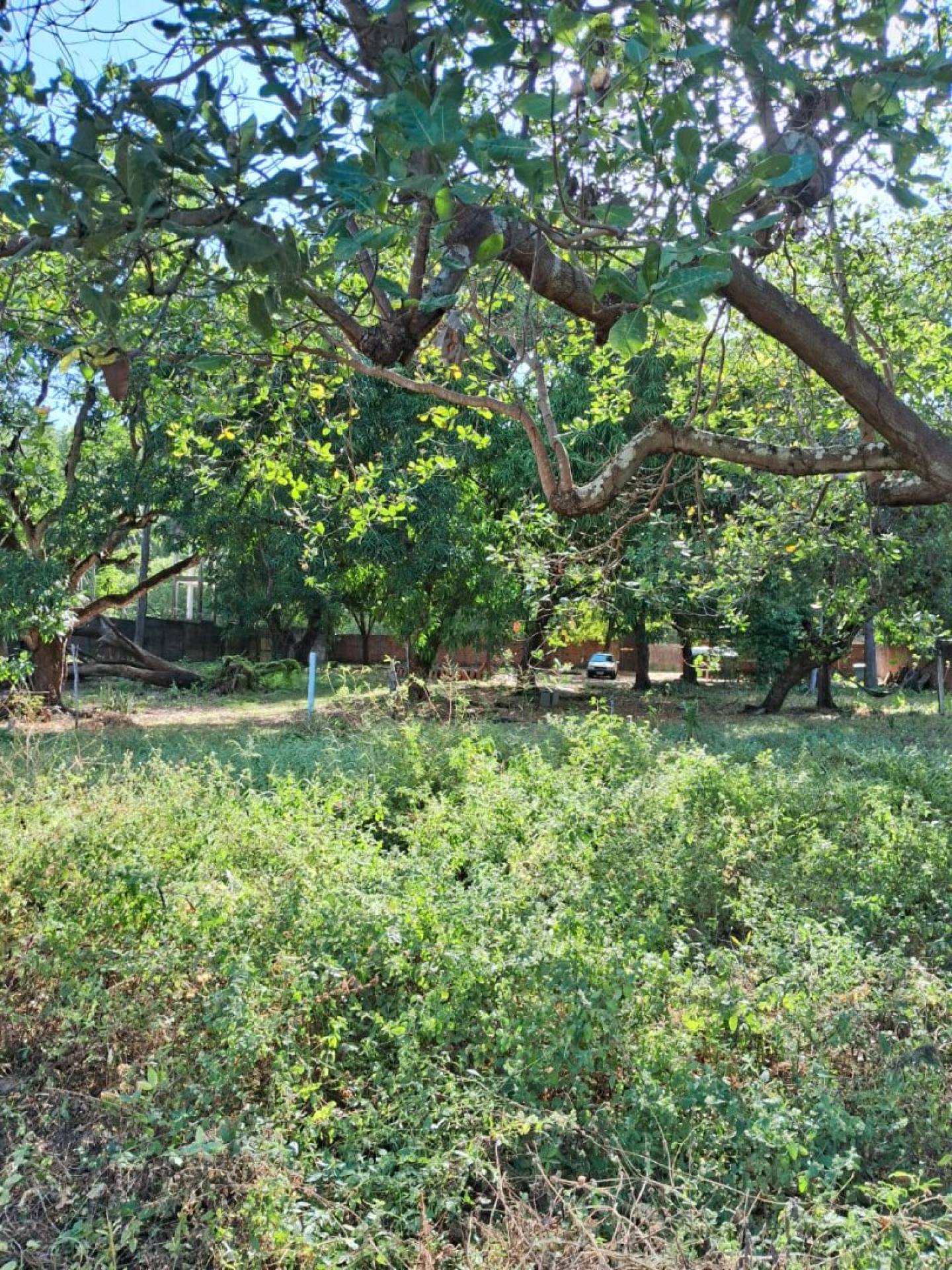 100 Excelente Terreno com uma área de 4.525 m²