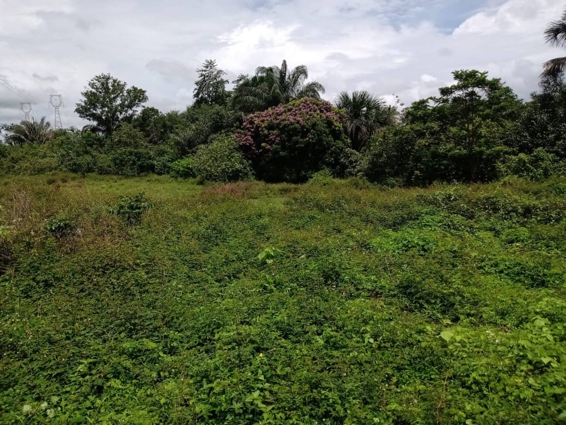 075 Vendo Terreno/Lote de 21.238m² no bairro Rio Grande no Tibiri em São Luís