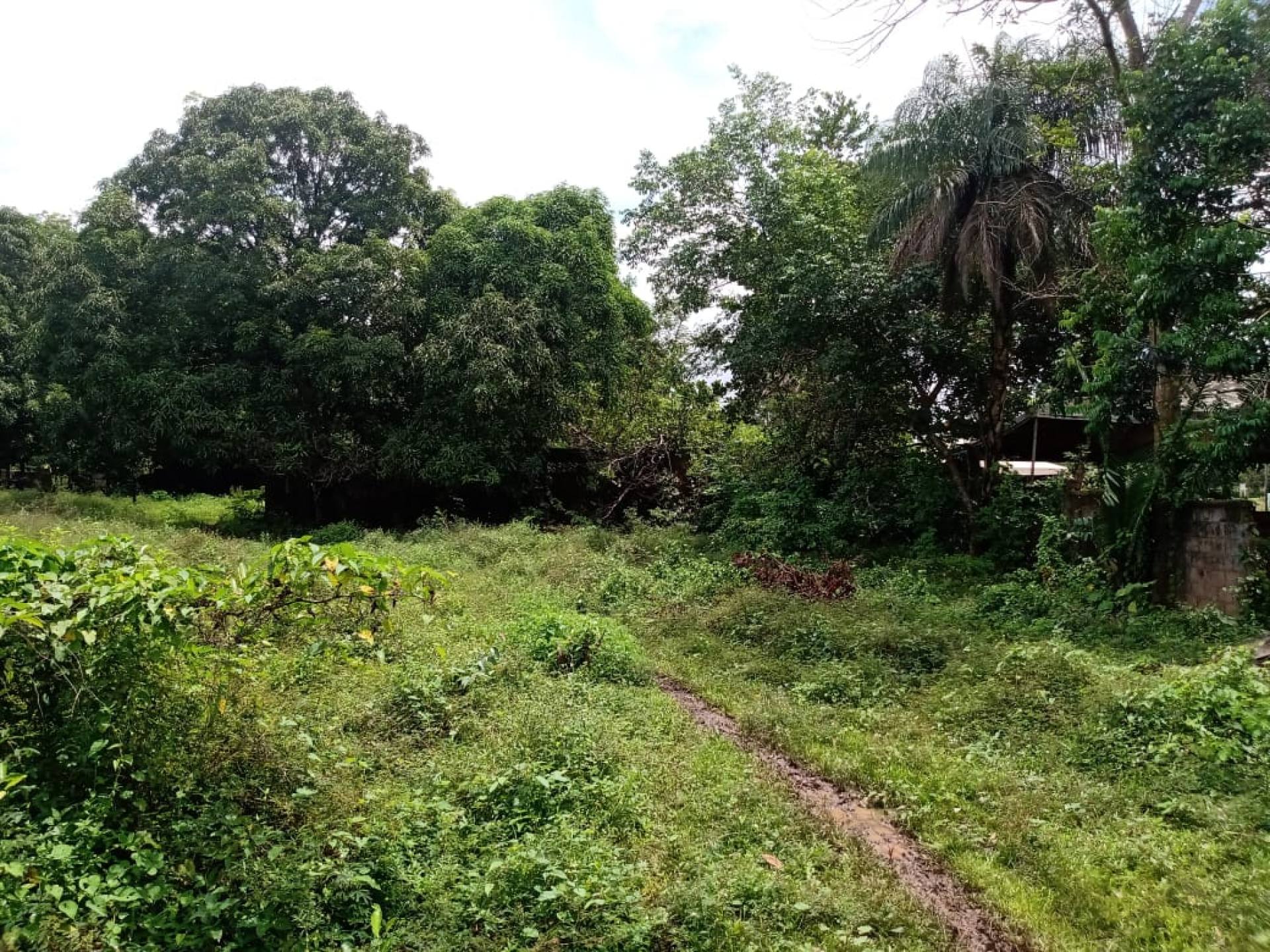 075 Vendo Terreno/Lote de 21.238m² no bairro Rio Grande no Tibiri em São Luís