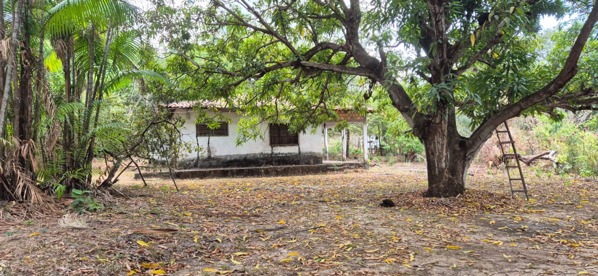 075 Vendo Terreno com 1965m² com árvores frutiferas no bairro Pindaí em São José De Ribamar