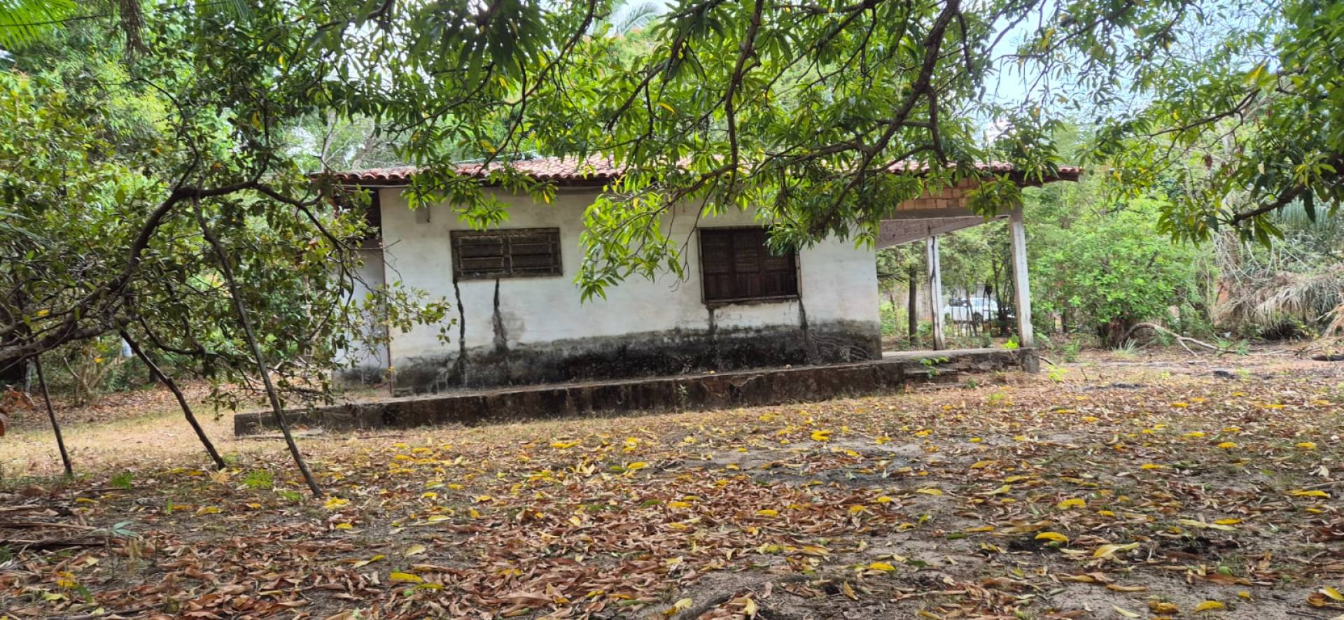 075 Vendo Terreno com 1965m² com árvores frutiferas no bairro Pindaí em São José De Ribamar